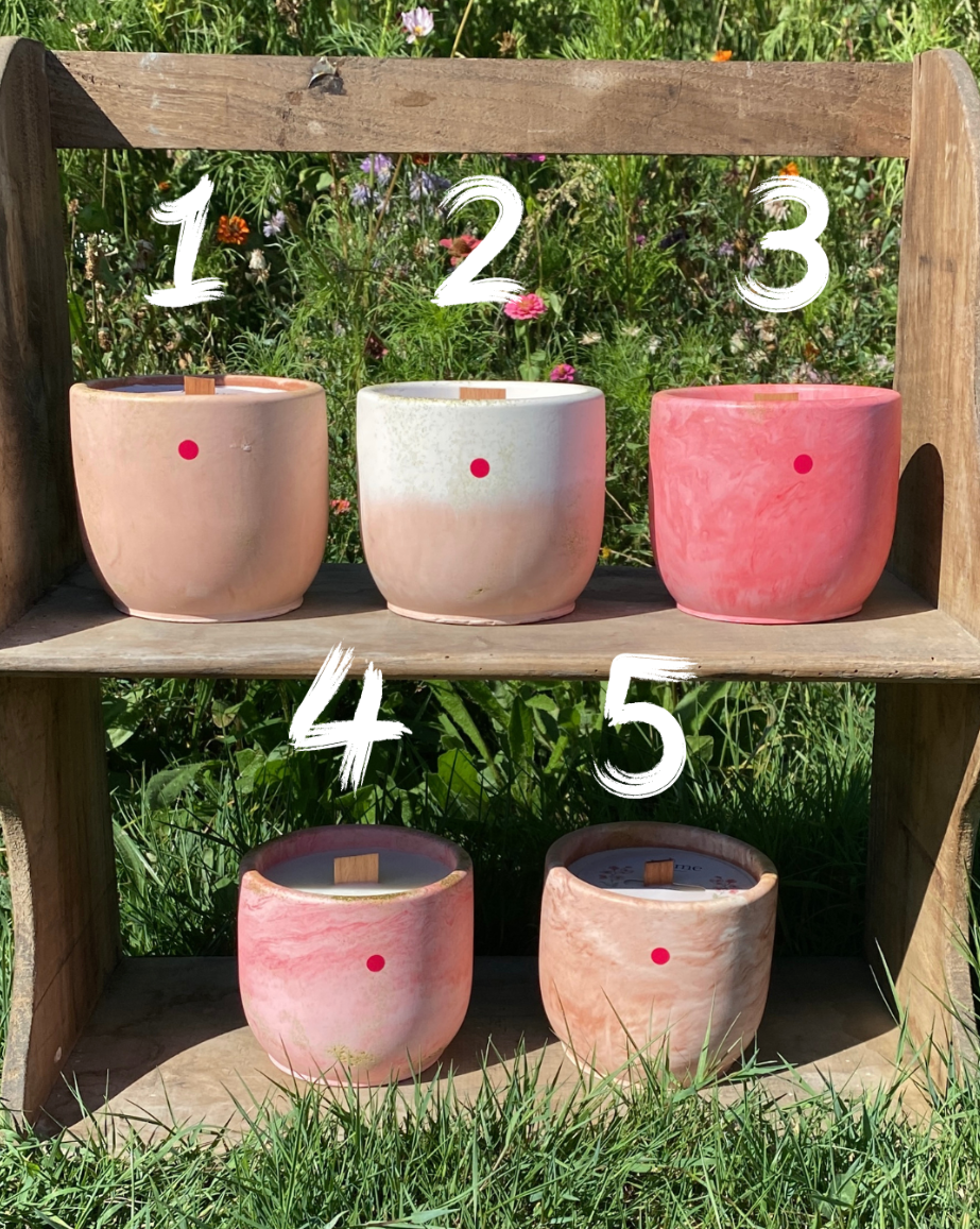 L'Ancrage - La Rêveuse