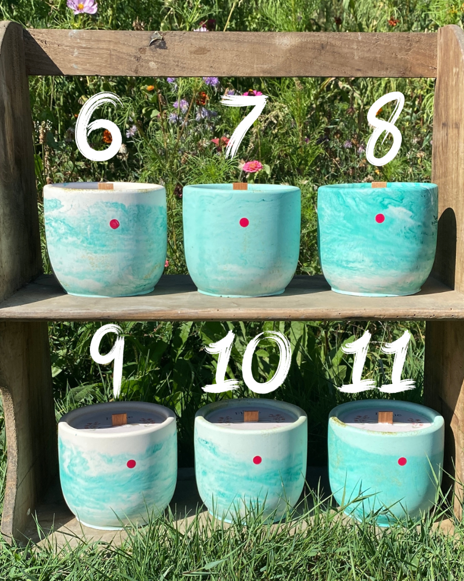 L'Ancrage - La Rêveuse