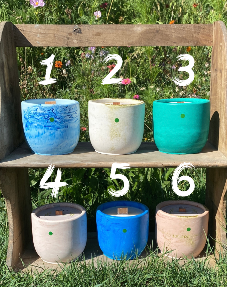 L'Ancrage - La Sauvage