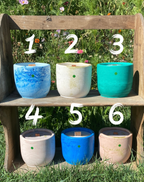 L'Ancrage - La Sauvage